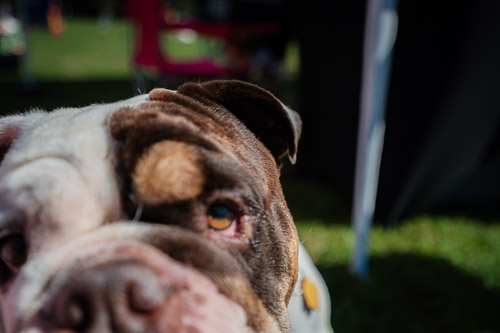 Salem, MA - Sep 2025